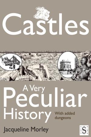 Cover of the book Castles, A Very Peculiar History by Steve Geoffreys
