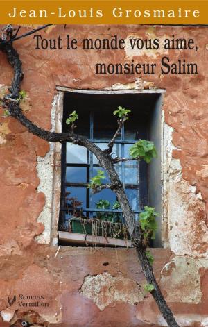 Cover of the book Tout le monde vous aime, monsieur Salim by Andrée Christensen, Jacques Flamand