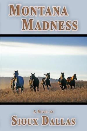 Cover of the book Montana Madness: A Novel by Linda L. Stampoulos