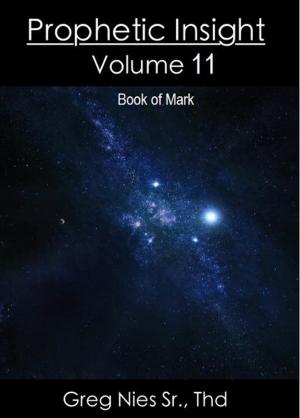 Book cover of Prophetic Insight Volume 11