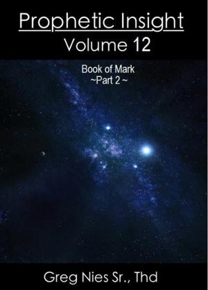 Cover of the book Prophetic Insight Volume 12 by Jameson McGuire