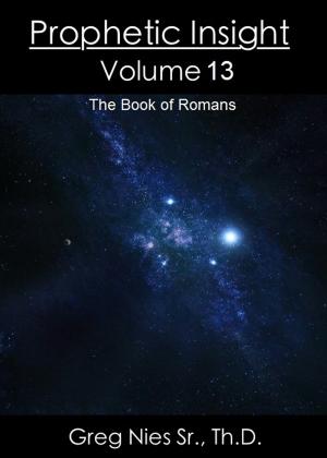 Book cover of Prophetic Insight Volume 13