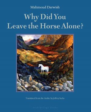 Cover of the book Why Did You Leave the Horse Alone? by Kirstin Miller