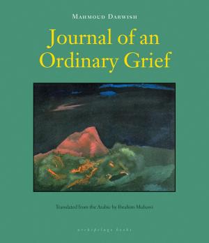 Cover of the book Journal of an Ordinary Grief by Severo Sarduy