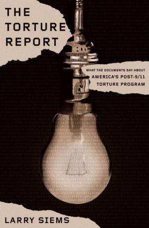 Cover of the book The Torture Report by Mara Einstein