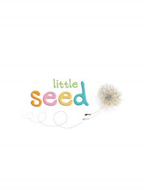 Cover of the book Little Seed by E. R. Paskey