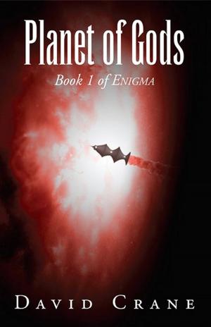 Cover of the book Planet of Gods: Book 1 of Enigma by David Chacko