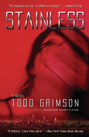 Cover of the book Stainless: A Modern Romance by Bill Carter