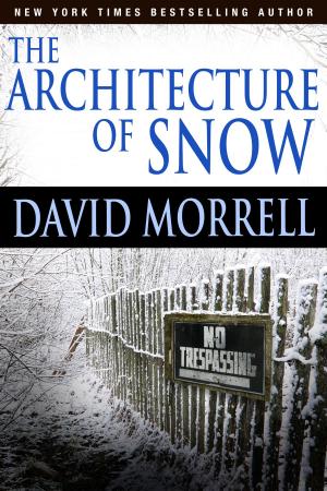 Book cover of The Architecture of Snow