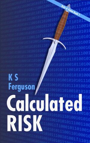 Cover of the book Calculated Risk by Kevin Adkisson