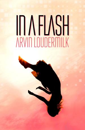 Book cover of In a Flash