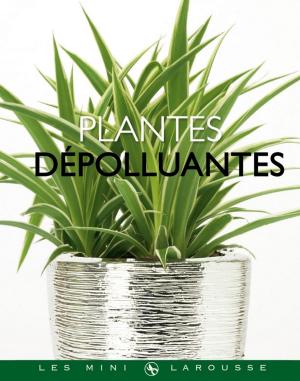 Cover of the book Plantes dépolluantes by Bérengère Abraham