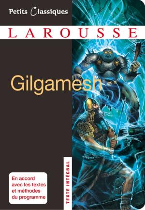 Cover of the book Gilgamesh by Agnès de Lestrade