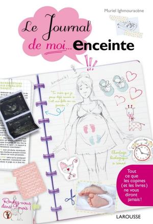 Cover of the book Le journal de moi...enceinte by Serge Schall