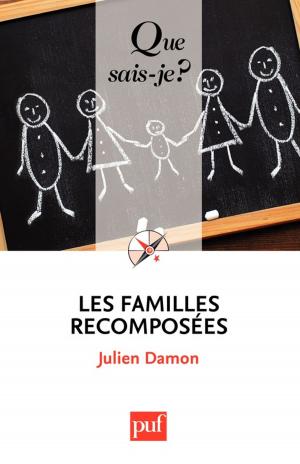 Book cover of Les familles recomposées