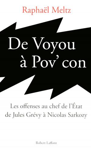 Cover of the book De voyou à pov' con by Anne ICART