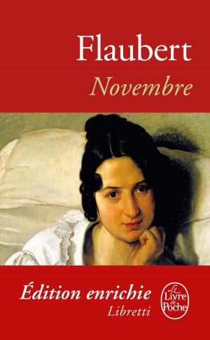 Cover of the book Novembre by Pierre de Marivaux