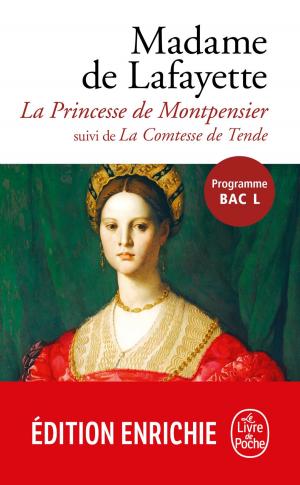 Cover of the book La Princesse de Montpensier by Peter Robinson
