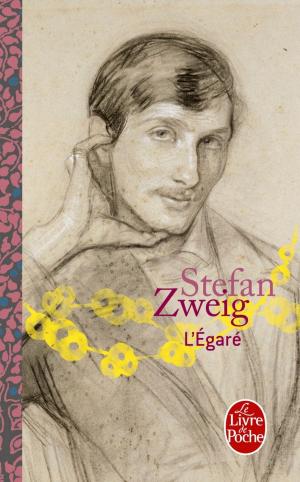 Cover of the book L'égaré - Inédit by Brandon Sanderson