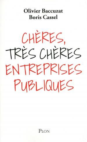 Cover of the book Chères, très chères entreprises publiques by Georges SIMENON