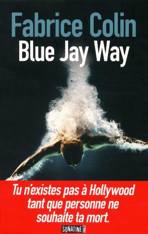 Cover of the book Blue Jay Way by Neal STEPHENSON