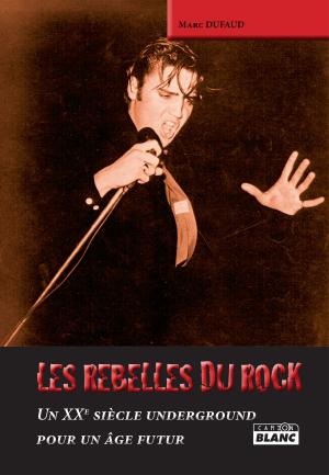 Cover of the book LES REBELLES DU ROCK by Daniel Lesueur