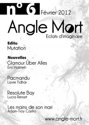 Book cover of Angle Mort numéro 6