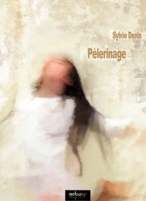 Cover of the book Pèlerinage by Roland C. Wagner