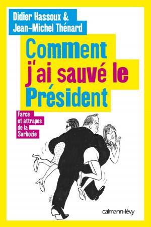 Cover of the book Comment j'ai sauvé le Président by Nathalie Hug