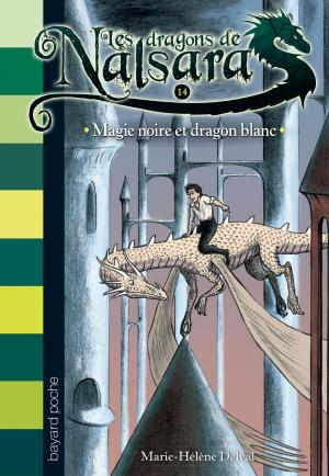Cover of the book Les dragons de Nalsara, Tome 14 by Marie Aubinais