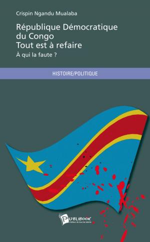 Cover of the book République Démocratique du Congo, tout est à refaire by Camille Saint-Briec