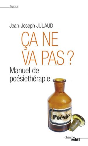 Cover of the book Ça ne va pas ? by Guillaume CAIROU