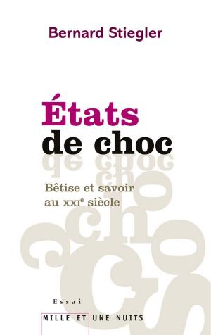 Cover of the book Etats de choc by Stéphanie Bonvicini