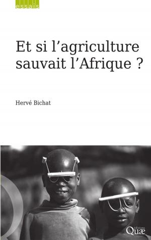 Cover of the book Et si l'agriculture sauvait l'Afrique ? by Anne-Françoise Schmid, Nicole Mathieu