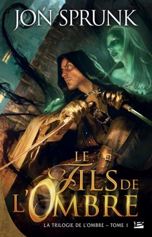 Cover of the book Le Fils de l'ombre by Margaret Weis, Tracy Hickman