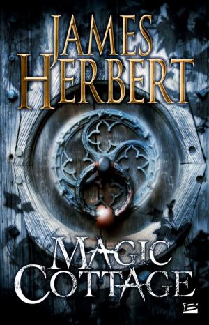 Book cover of Magic Cottage