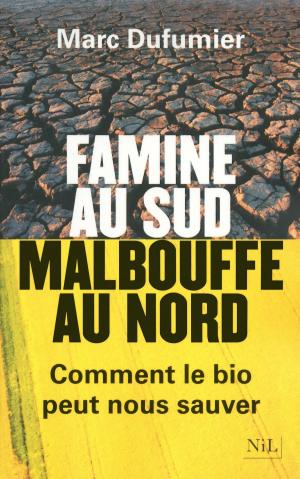 Cover of the book Famine au Sud, malbouffe au Nord by Didier DECOIN
