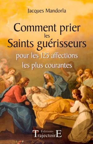 Cover of the book Comment prier les Saints guérisseurs by Silvia F. M. Pedri