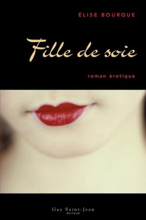 Cover of the book Fille de soie by Pierre-Yves McSween