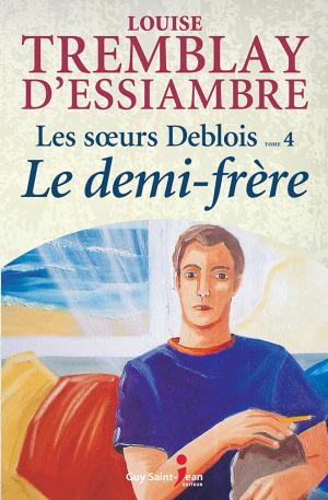 Cover of the book Les soeurs Deblois, tome 4: Le demi-frère by Danielle Goyette