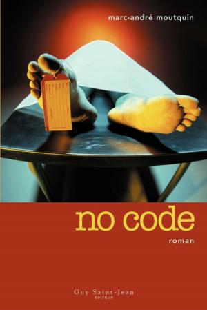 Cover of the book No code by Guillaume Morrissette
