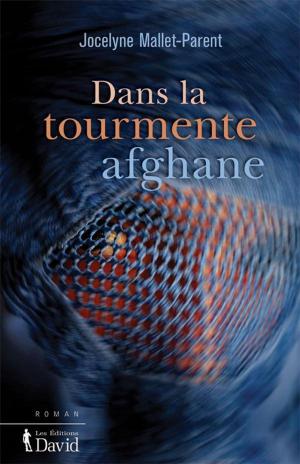 Cover of the book Dans la tourmente afghane by Pierre-Luc Bélanger