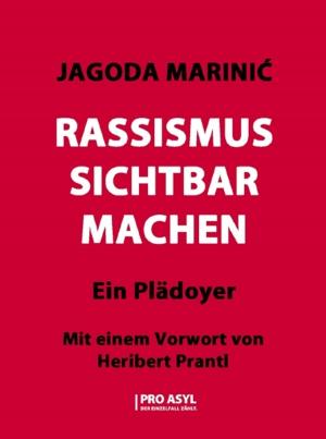 Cover of the book Rassismus sichtbar machen by Enrique Flores Morado