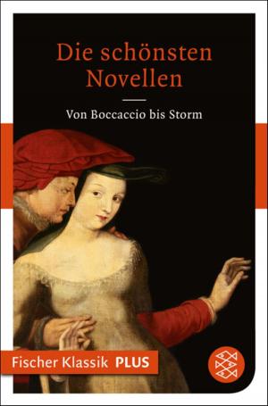 Book cover of Die schönsten Novellen