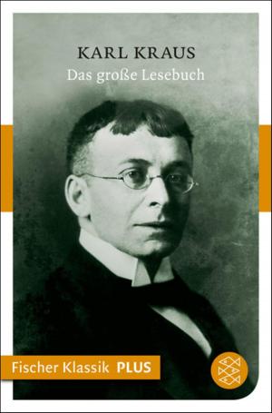 Cover of the book Das große Lesebuch by Stefano D'Arrigo, Moshe Kahn