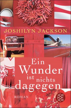 Cover of the book Ein Wunder ist nichts dagegen by Jörg Schindler