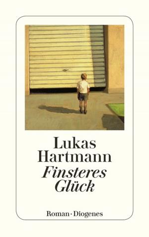 Cover of the book Finsteres Glück by Eve Harris