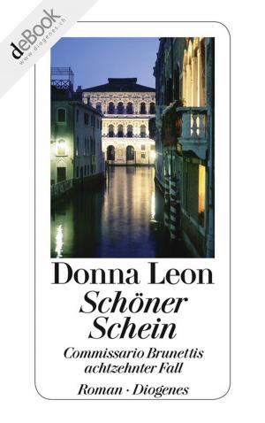 Cover of the book Schöner Schein by Ingrid Noll