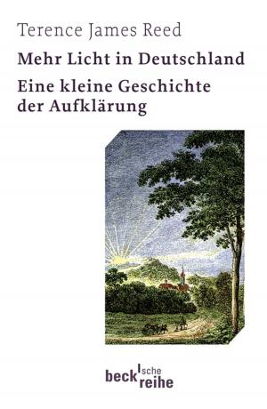 Book cover of Mehr Licht in Deutschland