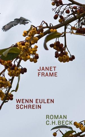 Cover of the book Wenn Eulen schrein by Lisa Warnecke